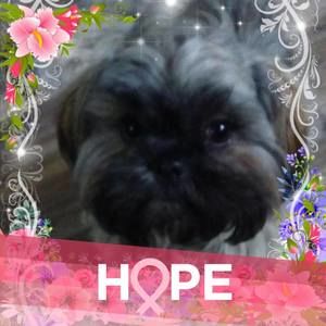 Meet your Posher, Cheryl